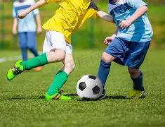 滚球平台,集团,官方网站,滚球购买平台,滚球平台官方网站,滚球平台,(集团)官方网站,十大滚球购买平台