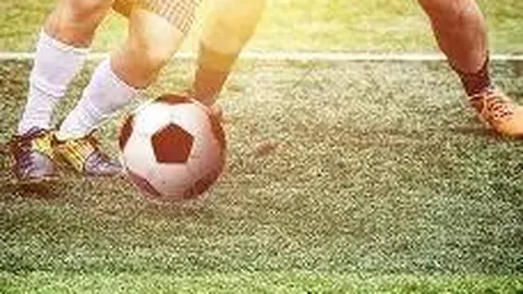 电竞行业兴盛 澳洲青年实习探路